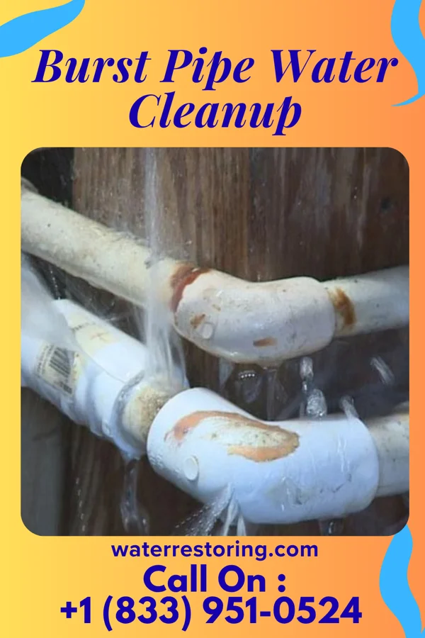 Burst Pipe Water Cleanup in Plain City, OH