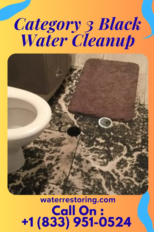 Category 3 Black Water Cleanup in Plain City, OH