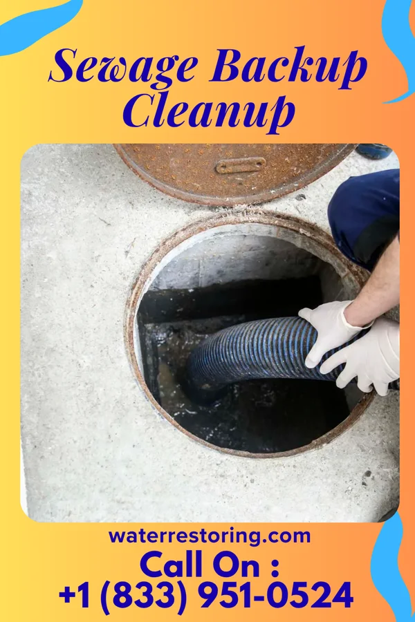 Sewage Backup Cleanup in Plain City, OH