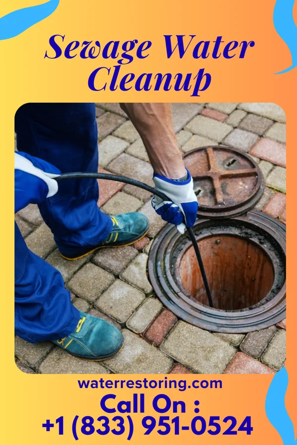 Sewage Water Cleanup in Plain City, OH