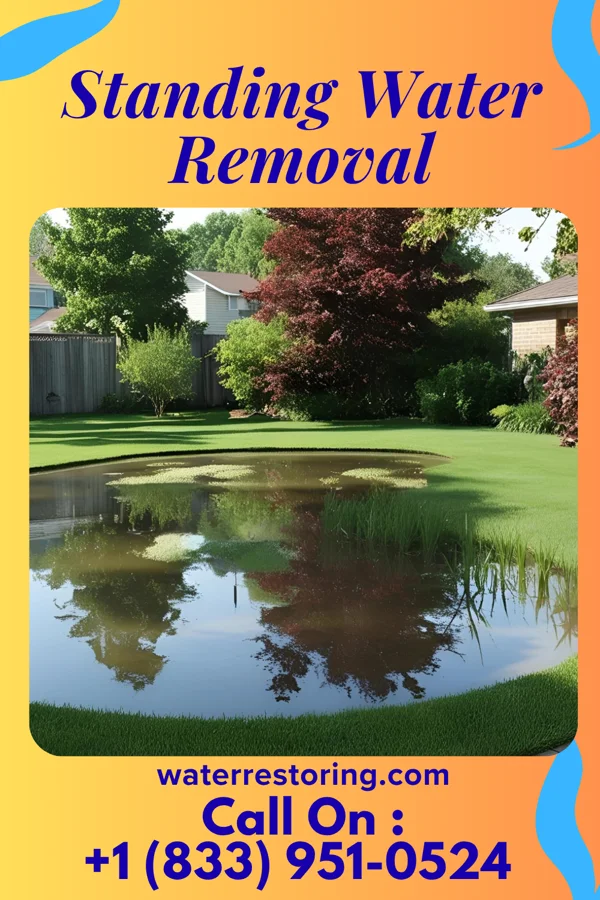 Standing Water Removal in Plain City, OH